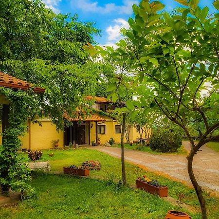 Villa Anthemia Naousa  Exterior photo